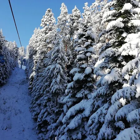 Winslow Infinity - Apartamento *