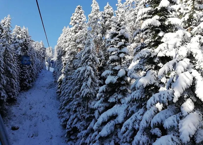 Winslow Infinity - Lejlighed *